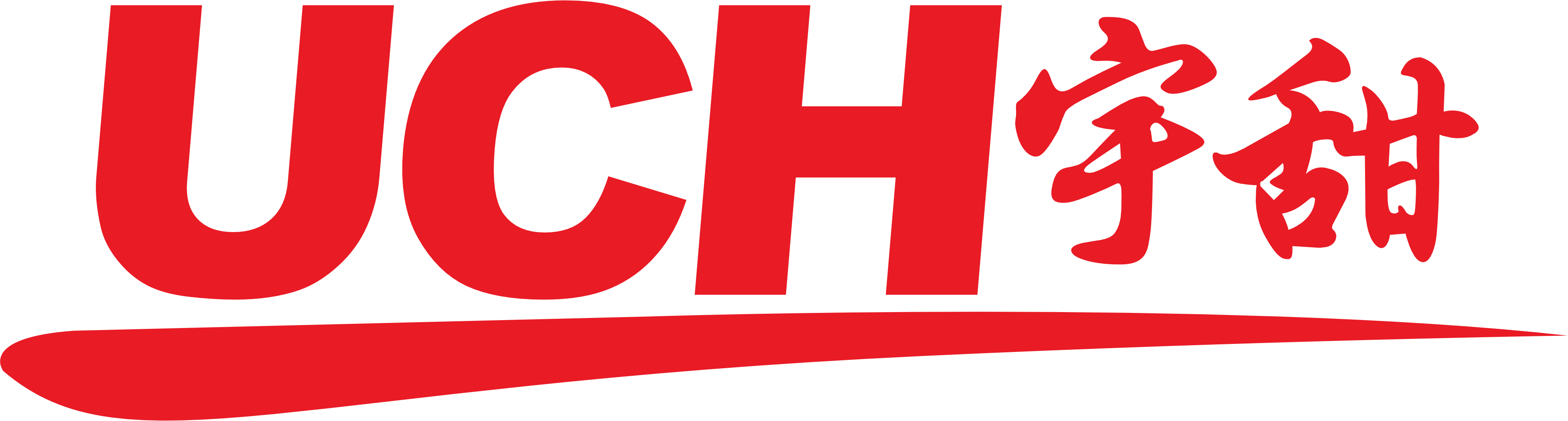 branch Logo